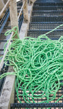 Edelrid STATIC LOW STRETCH 11,0MM