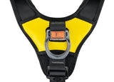Petzl Avao BOD Fast International Harness Mid Ring