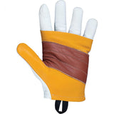 Beal Rappel Glove Back