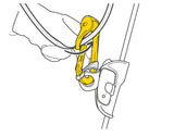 Petzl Rollclip A Pulley Carabiner Pacific Ropes Illustration