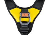 Petzl Astro Bod Fast Harness Ring